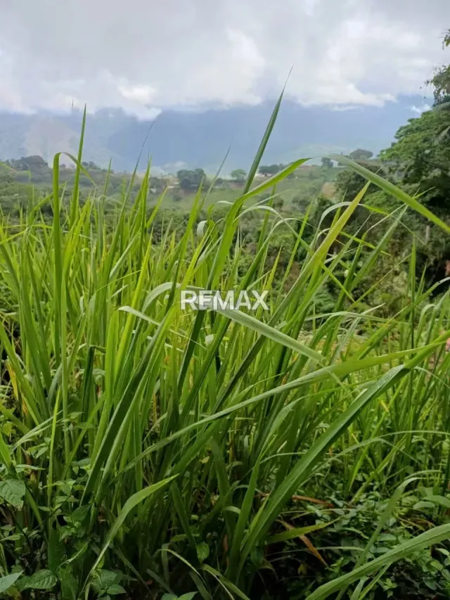 EN VENTA TERRENO EN LA URBANIZACION KARIMAO - 10