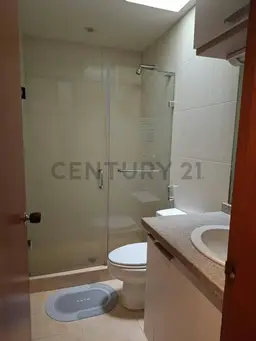 Vista 18