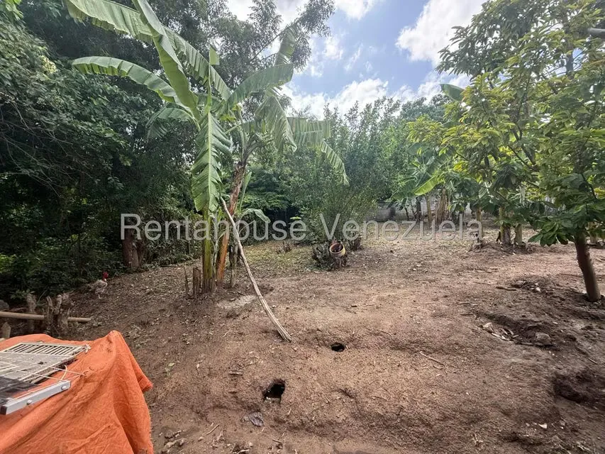 Casa (1 Nivel) en Venta en Chucho Briceno, Lara - 15