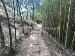 View 22