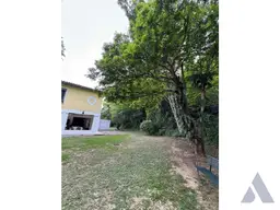 Vista 19
