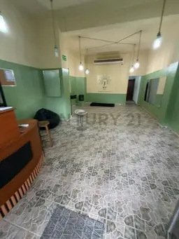 Vista 11