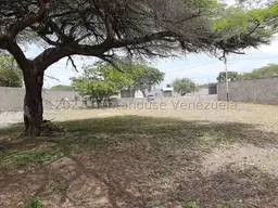 View 12