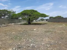 View 7