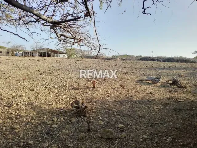 Se Vende Terreno en Jayana - 4