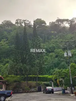Vista 20