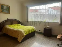 Vista 39