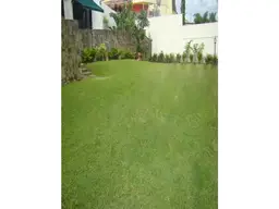 Vista 19