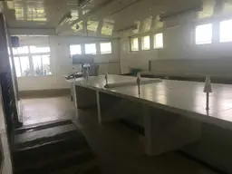 View 6