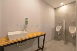 Vista 24