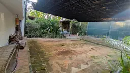 Vista 5