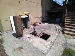 Vista 15