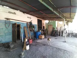 Vista 21