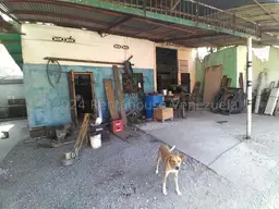 Vista 22