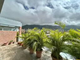 Vista 49