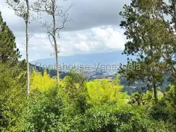 View 44