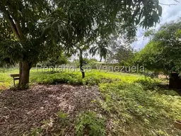 Vista 14