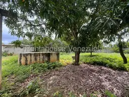 Vista 15