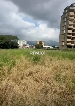 View 6