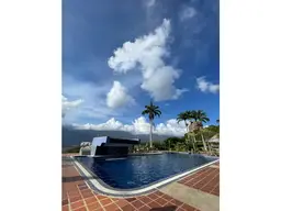 Vista 19