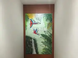 Vista 4