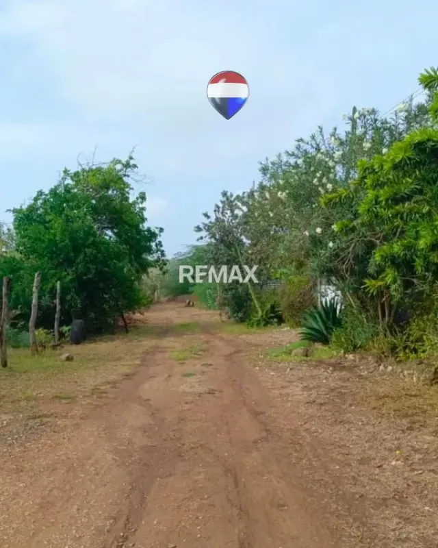 ¡Oportunidad de Inversión! Terreno de 387 m² en Arismendi – Caserío Espinoza - 5