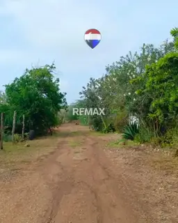 Vista 5