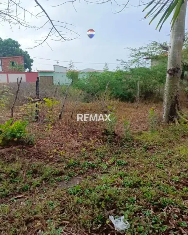 ¡Oportunidad de Inversión! Terreno de 387 m² en Arismendi – Caserío Espinoza - 6