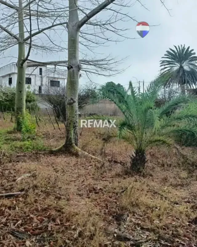 ¡Oportunidad de Inversión! Terreno de 387 m² en Arismendi – Caserío Espinoza - 8