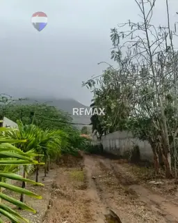 Vista 9