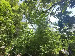 View 11