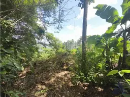View 12