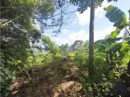 View 14