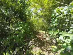 View 16