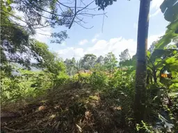 View 18