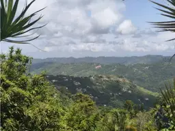 View 8