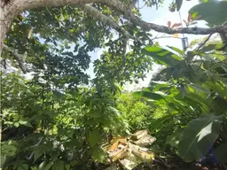 View 10