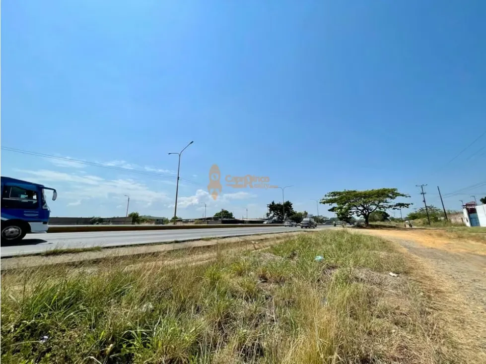 Terreno Comercial e Industrial en la Autopista Valencia TCL T 7300978 - 7