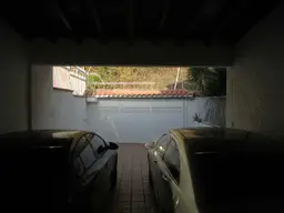 Vista 65