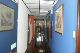 Vista 29