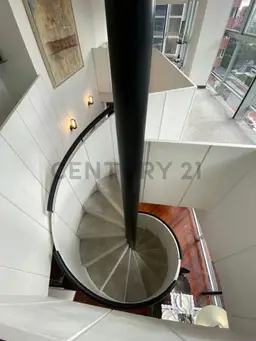 Vista 11