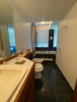 Vista 19