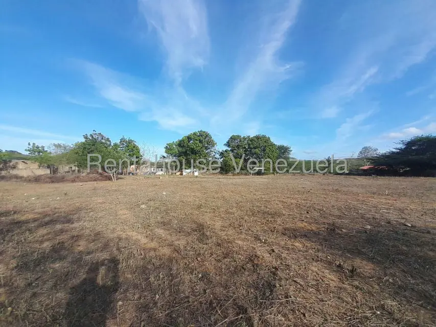 Terreno (Comercial) en Venta en Centro, Falcon - 14