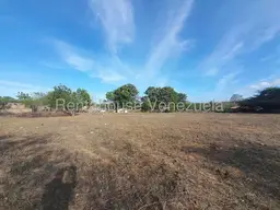 Vista 14