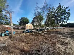 Vista 16