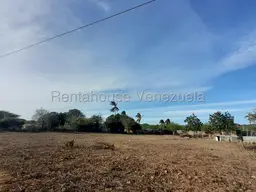 Vista 4