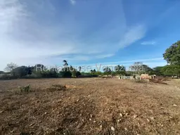 Vista 6