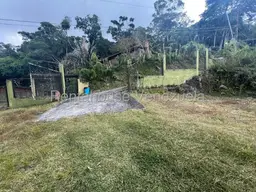 Vista 15