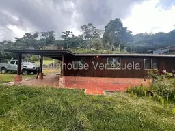 Vista 10