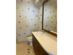 Vista 5